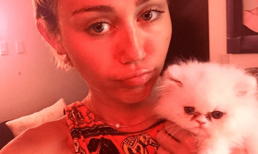 miley cyrus female celebrity with a cat holding her white cat