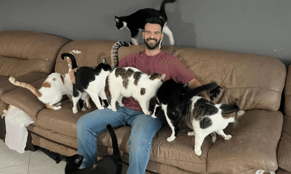 Yassine Harouchi with his rescue cats on a couch