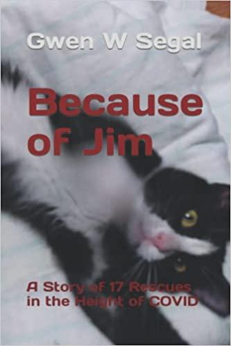 because of jim by gwen segal book on amazon