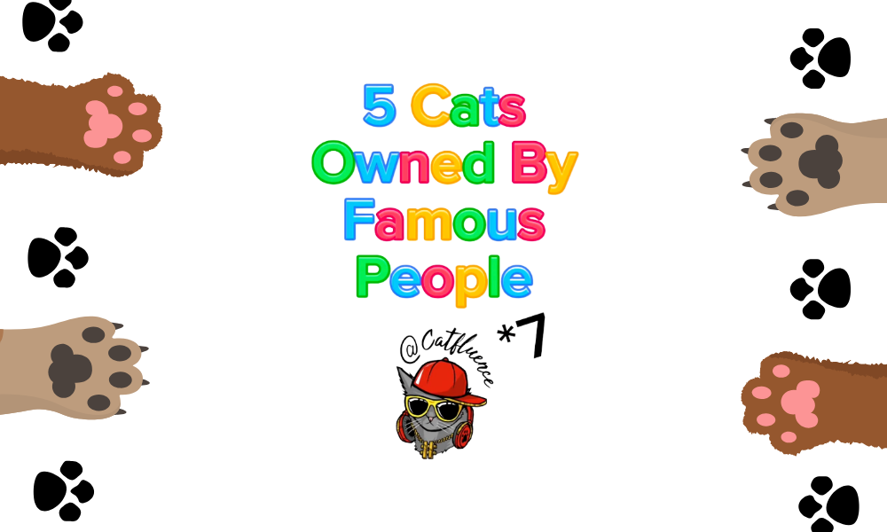 five cats owned by famous people blog image